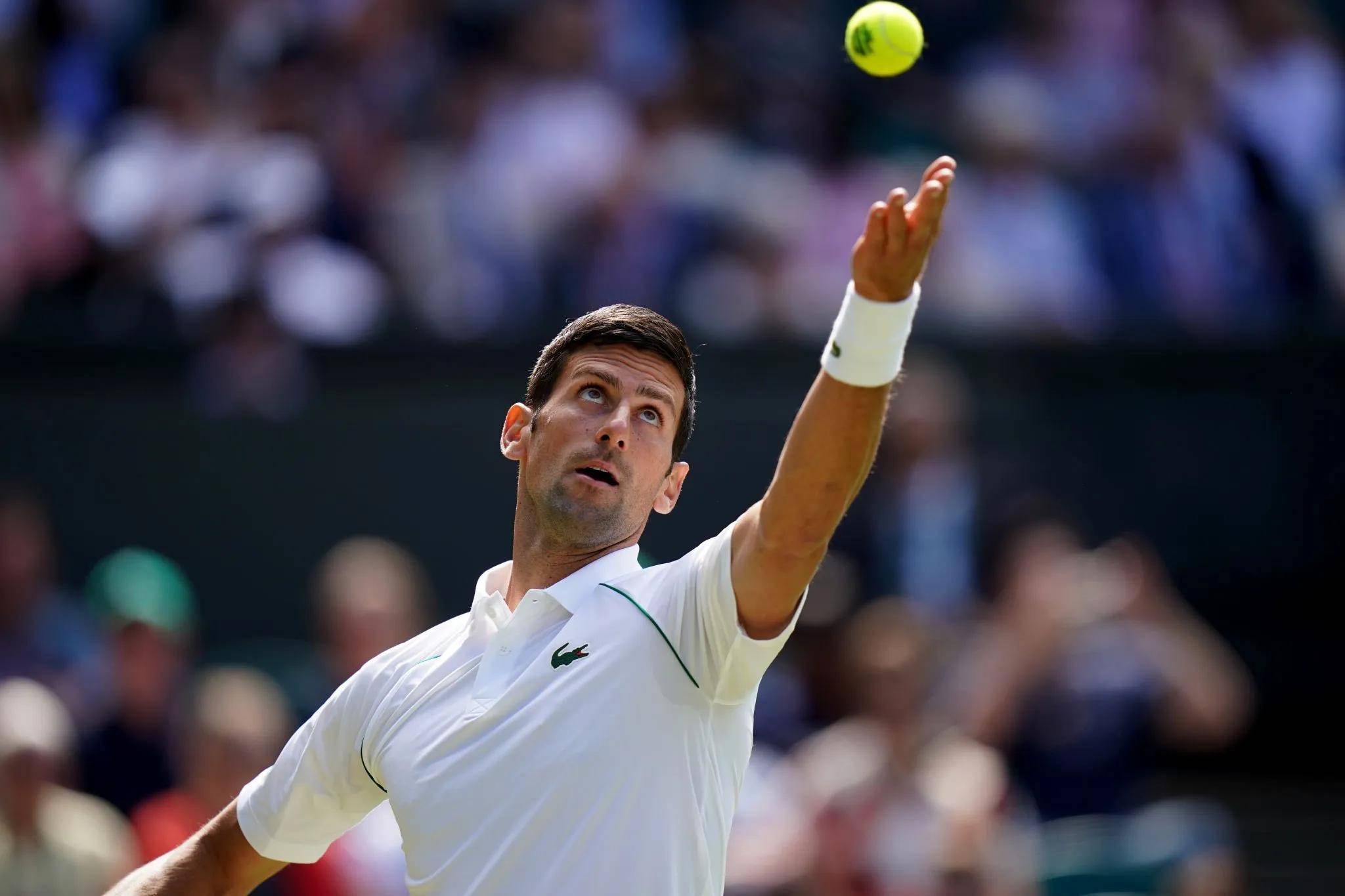 AYX-德约科维奇连续十五场比赛得分超过挺进下一轮，湖人挑战极限！的简单介绍